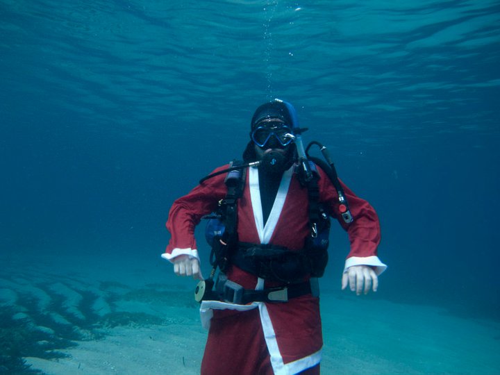 163774 10150356091370077 1184511 n